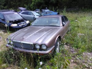 IMG_20210713_154240.jpg