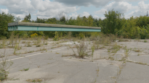 bridge6.png
