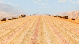 TheLongDesertRoad.jpg