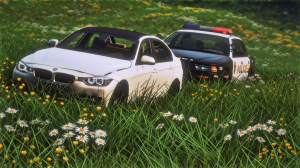 BeamNGdrivex642021-08-0322-56-22.png