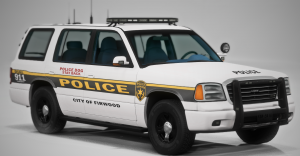 BeamNGdrivex642021-08-2511-05-50.png