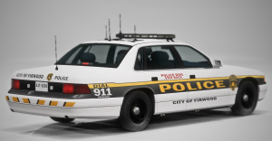 BeamNGdrivex642021-08-2510-59-19.png