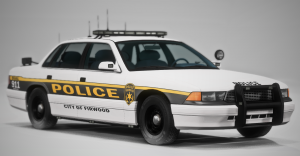 BeamNGdrivex642021-08-2510-56-45.png