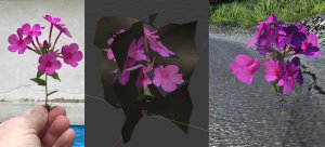 flower1.jpg