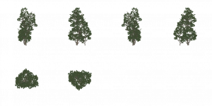 tree_oak_blocker_adaeimposter.png