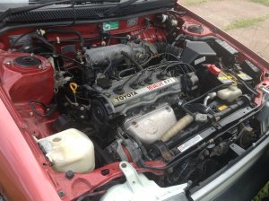 IMG_1146.jpg