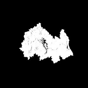 bi03_LayerMask_Grass.png