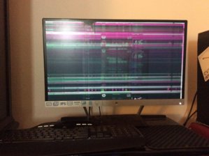 image.jpeg