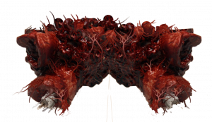 Gore.png