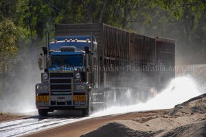 KenworthC509LivestockRoadTrainsplashingwater.jpg