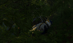 screenshot_2021-11-13_18-15-09.png