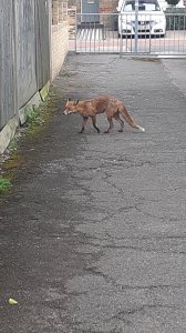 20210915_153535.jpg