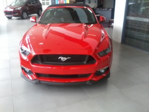 2016-01-07_12.03.24[1].jpg