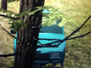 image.jpeg