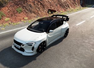 customcar.jpg
