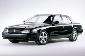 7y8iudsr0wj61.jpg