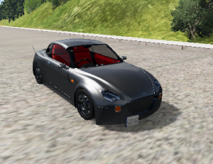 DCS.png
