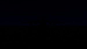 4BB6C912-A736-4A61-A2BB-AD4423D48782.jpeg