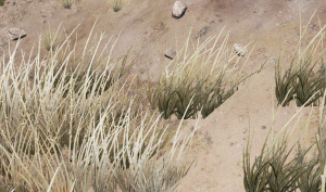 screenshot_2022-02-18_17-56-42.png