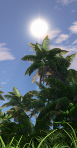284160_20220115174305_1.png