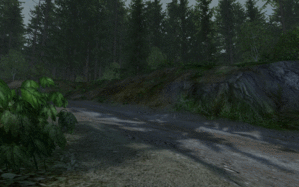 R51.gif