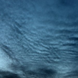 IMG_4175_crop.jpg