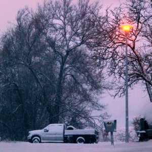 IMG_4698_crop.jpg