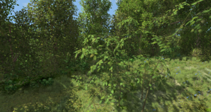 screenshot_00551.png