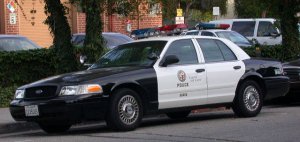 lapd149.jpg