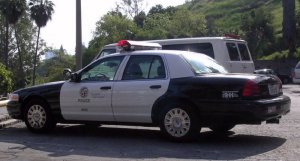 lapd115.jpg