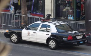 lapd315.jpg