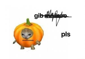 gib-me-love-pis-meme-178c3a21cebc4bf0-c7fb92a954e60531.jpg