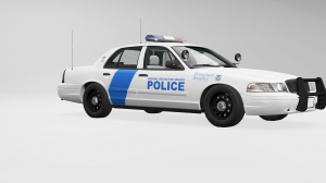 USHomelandSecurityPolice.png