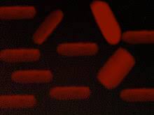 000A0488-5490-4602-A488-4033E02E08FA.jpeg