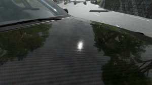 realcarbon1.jpg