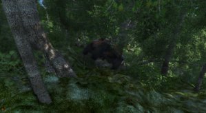 screenshot_00033.jpg