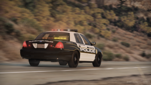 PPDhardtop.png