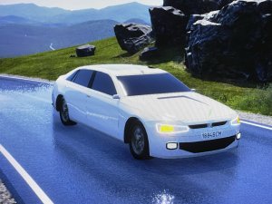 POLONEZ.jpeg
