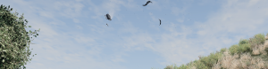 screenshot_2022-06-15_21-59-49.png