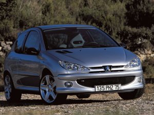 Peugeot_206RC.jpg