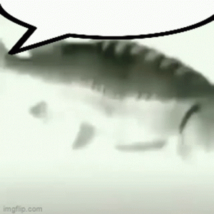 speech-speech-bubble.gif