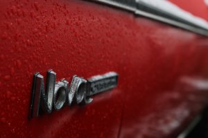 IMG_1347.jpg