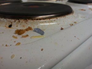IMG_20160229_105111.jpg