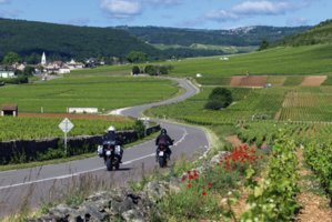 001gal_1-Burgund - a.jpg