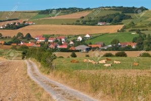 20183272-Country-Road-through-a-Rural-area-in-France-Europe-Stock-Photo.jpg