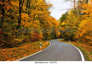 a-country-road-leading-through-colourful-mixed-woodland-in-autumn-dgt51c.jpg