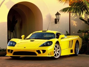 saleen.jpg