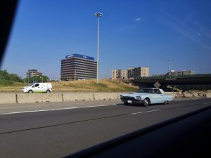 IMG_20220823_141911.jpg