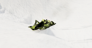 screenshot_2022-08-24_02-25-23.png