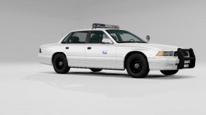 USPostalPoliceB.jpg